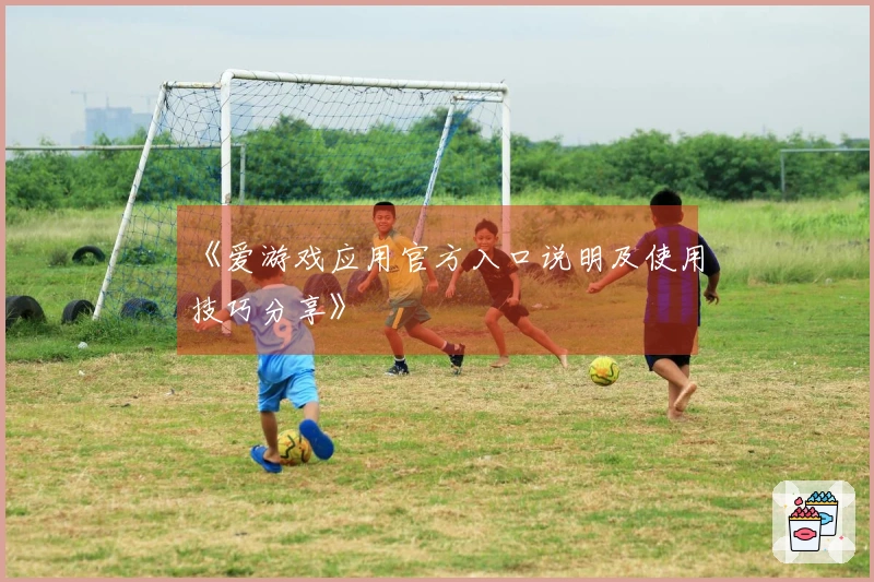 《爱游戏应用官方入口说明及使用技巧分享》